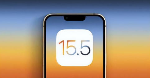 宁都苹果手机维修分享iOS15.5 RC版升级建议 