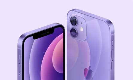 宁都苹果手机维修分享紫色版iPhone 12有什么技术亮点 