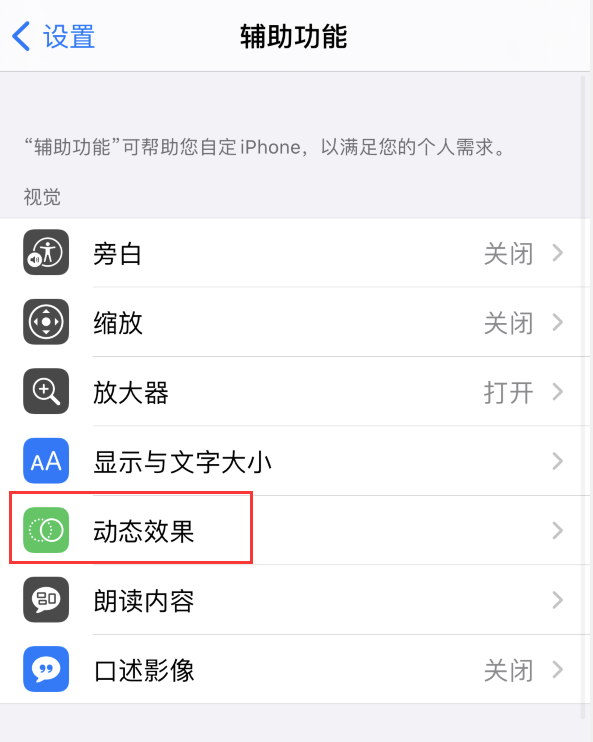 宁都苹果手机维修分享iPhone 12 退出应用时没有动画显示，如何设置 