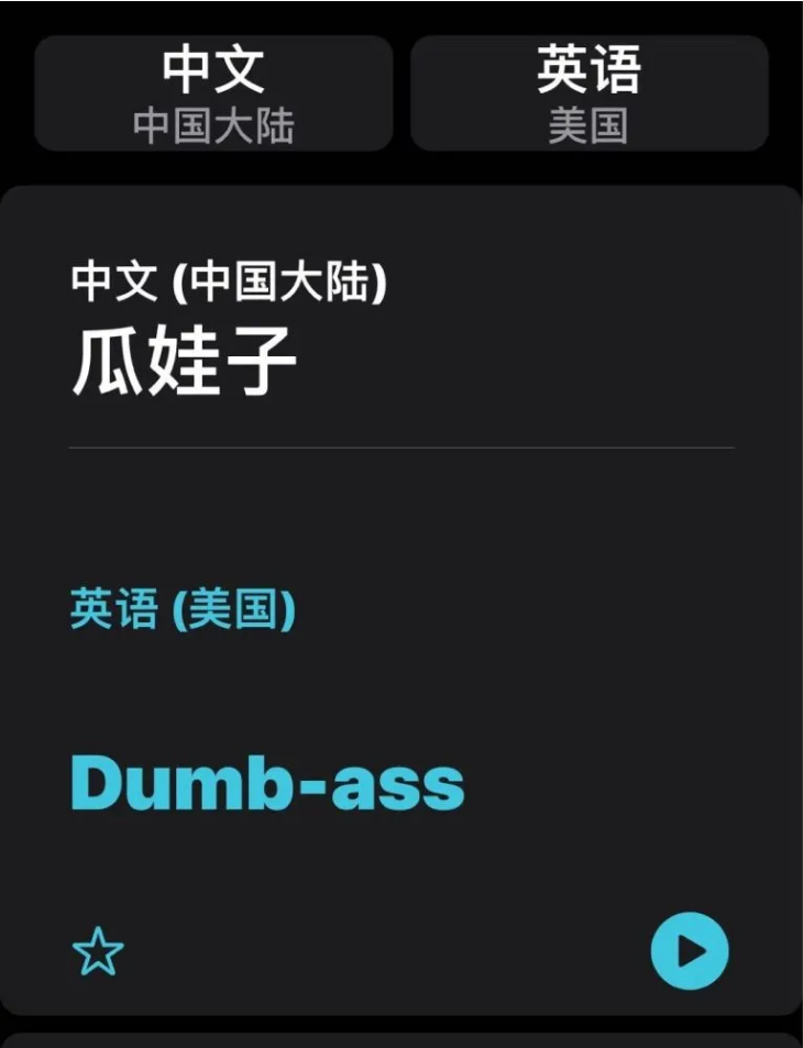宁都苹果手机维修分享iOS14的“翻译太懂了”怎么用 
